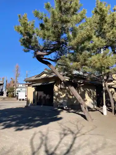 住吉神社(神奈川県)