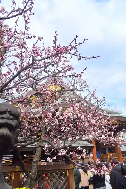 湯島天満宮(東京都)