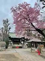 五條天神社(東京都)