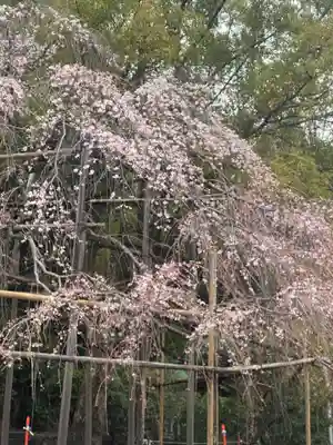 近江神宮(滋賀県)