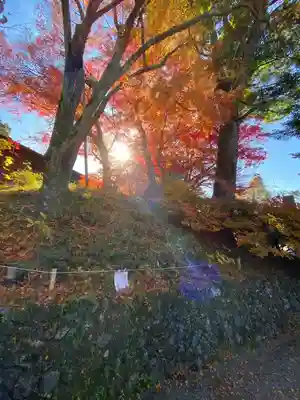 出雲大神宮(京都府)