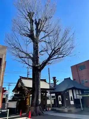 覺願寺(東京都)