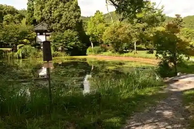 大覚寺(京都府)