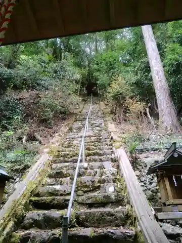 丹生神社の{uncategorized: "未分類", other: "その他", undefined: "問題あり", building: "その他建物", grave: "お墓", sacred_gate: "鳥居", guardian: "狛犬", statue: "像", buddha: "仏像", history: "歴史", nature: "自然", garden: "庭園", animal: "動物", pagoda: "塔", temizu: "手水舎", mountain_gate: "山門・神門", sanctuary: "本殿・本堂", subordinate: "末社・摂社", art: "芸術", scenery: "景色", jizo: "地蔵", ema: "絵馬", goshuin: "御朱印", omikuji: "おみくじ", items: "授与品その他", amulet: "お守り", goshuincho: "御朱印帳", eats: "食事", festival: "お祭り", votive_dance: "神楽", shichigosan: "七五三参", wedding: "結婚式", experience: "体験その他", initially: "初詣", around: "周辺", anti_infection: "感染症対策"}