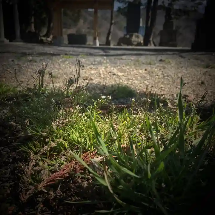 高司神社〜むすびの神の鎮まる社〜の自然