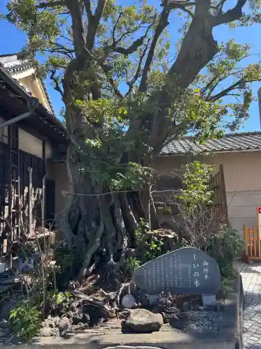日枝神社の{uncategorized: "未分類", other: "その他", undefined: "問題あり", building: "その他建物", grave: "お墓", sacred_gate: "鳥居", guardian: "狛犬", statue: "像", buddha: "仏像", history: "歴史", nature: "自然", garden: "庭園", animal: "動物", pagoda: "塔", temizu: "手水舎", mountain_gate: "山門・神門", sanctuary: "本殿・本堂", subordinate: "末社・摂社", art: "芸術", scenery: "景色", jizo: "地蔵", ema: "絵馬", goshuin: "御朱印", omikuji: "おみくじ", items: "授与品その他", amulet: "お守り", goshuincho: "御朱印帳", eats: "食事", festival: "お祭り", votive_dance: "神楽", shichigosan: "七五三参", wedding: "結婚式", experience: "体験その他", initially: "初詣", around: "周辺", anti_infection: "感染症対策"}