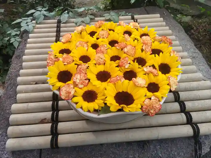 徳星寺(埼玉県)