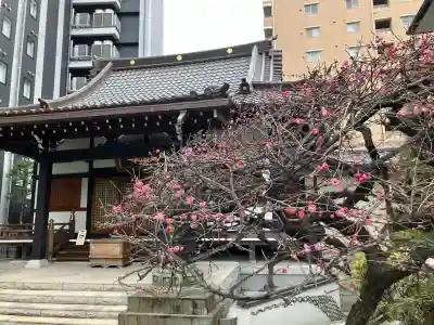 幸福寺の御朱印