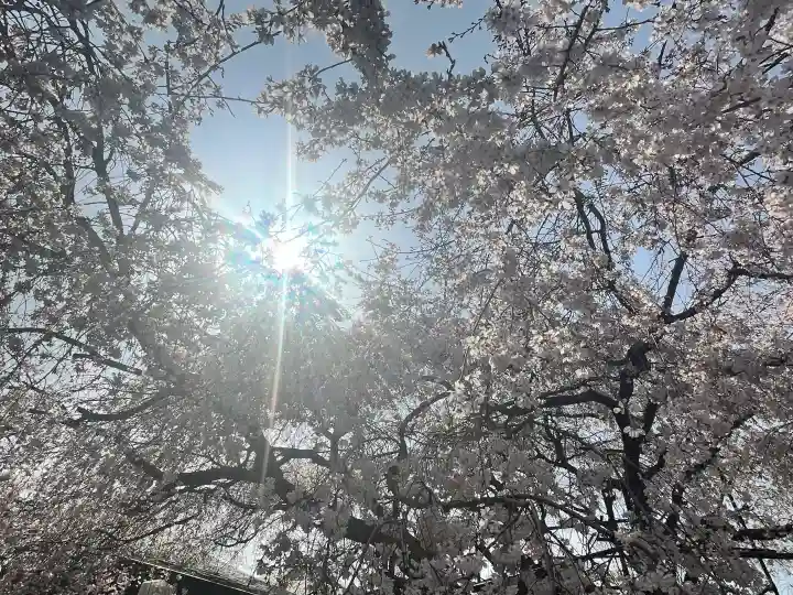 道成寺の{uncategorized: "未分類", other: "その他", undefined: "問題あり", building: "その他建物", grave: "お墓", sacred_gate: "鳥居", guardian: "狛犬", statue: "像", buddha: "仏像", history: "歴史", nature: "自然", garden: "庭園", animal: "動物", pagoda: "塔", temizu: "手水舎", mountain_gate: "山門・神門", sanctuary: "本殿・本堂", subordinate: "末社・摂社", art: "芸術", scenery: "景色", jizo: "地蔵", ema: "絵馬", goshuin: "御朱印", omikuji: "おみくじ", items: "授与品その他", amulet: "お守り", goshuincho: "御朱印帳", eats: "食事", festival: "お祭り", votive_dance: "神楽", shichigosan: "七五三参", wedding: "結婚式", experience: "体験その他", initially: "初詣", around: "周辺", anti_infection: "感染症対策"}