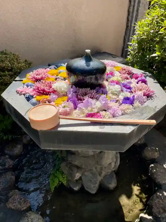 神楽坂安養寺(東京都)
