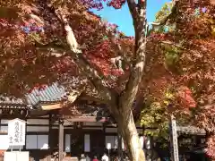 深大寺の本殿