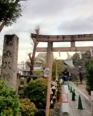 鳩森八幡神社の初詣