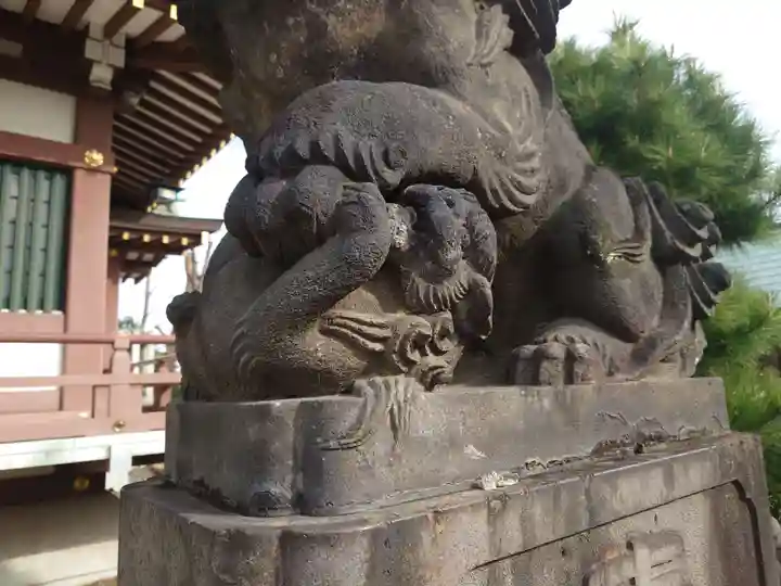 赤塚氷川神社の狛犬