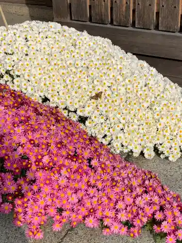 八坂神社(祇園さん)のその他建物