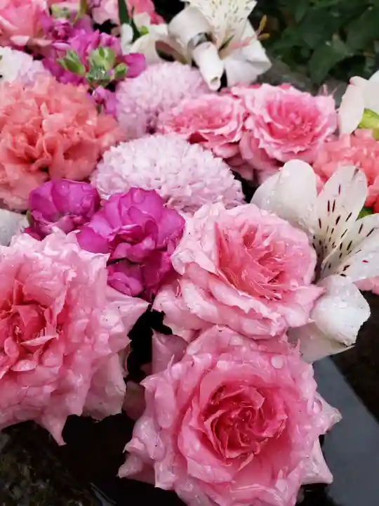 本郷氷川神社(東京都)