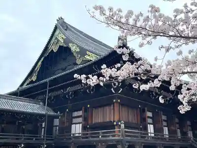 本山専修寺(三重県)