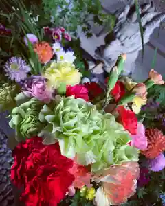 滑川神社 - 仕事と子どもの守り神の手水舎(2021年06月04日(金) 12時16分32秒投稿)