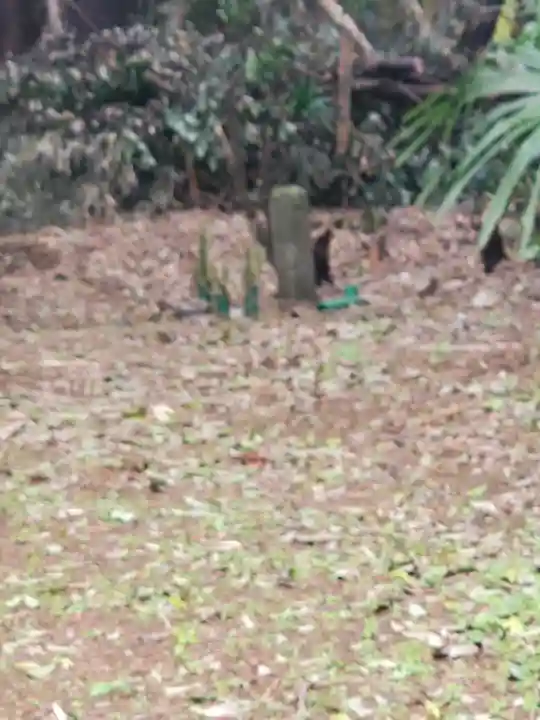 能満寺(千葉県)