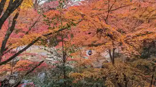 長岡天満宮(京都府)