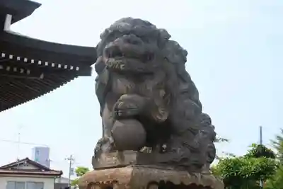 熊野福藏神社の狛犬