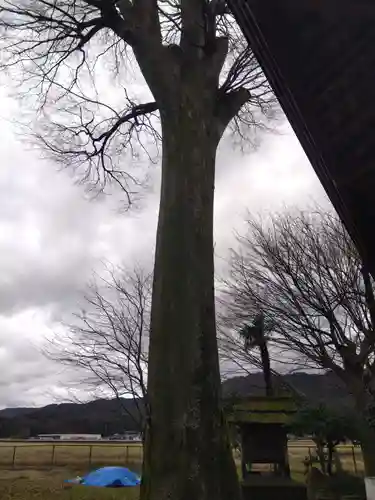 八幡神社(福井県)