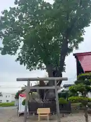 一本栗地主神社(北海道)