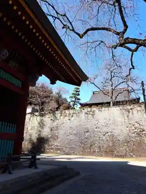 妙義神社(群馬県)