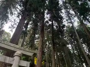 大宮温泉神社の自然(2022年11月24日(木) 16時05分18秒投稿)