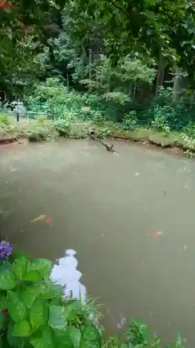 観音寺のその他建物