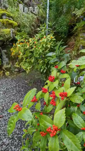 大豊神社(京都府)