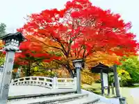 土津神社|こどもと出世の神さまの自然