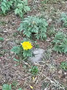 茂岩神社(北海道)(2023年04月17日(月) 18時12分01秒投稿)