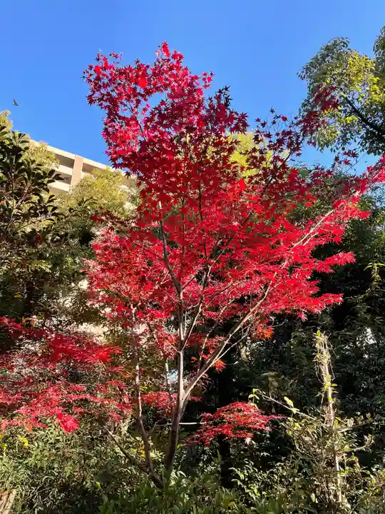 難波大社 生國魂神社(大阪府)