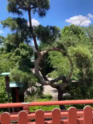 清水観音堂(東京都)