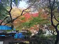 萬寿寺(お不動さん)の自然