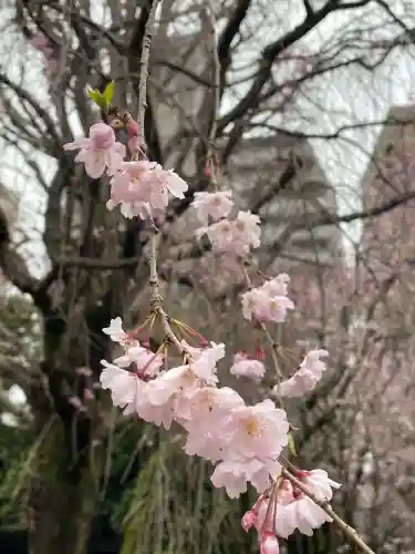 吉祥寺(東京都)