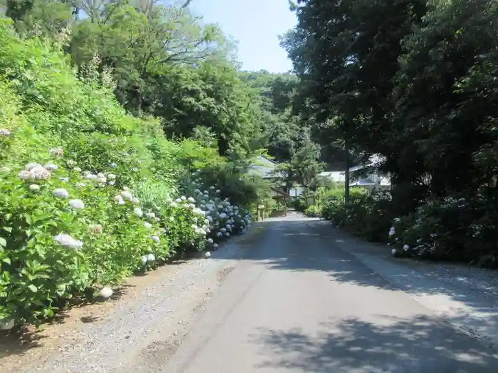 少林寺(埼玉県)
