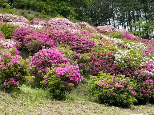 朝日寺(岡山県)