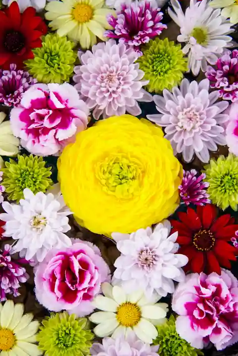 伊達神社の手水舎