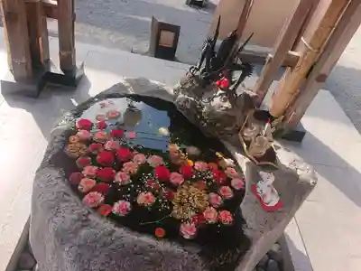 出雲大社相模分祠の手水舎