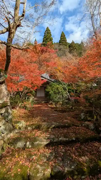 桂徳院(京都府)