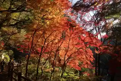 八雲神社(山梨県)