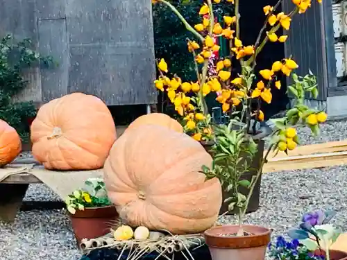 東海市熊野神社の庭園