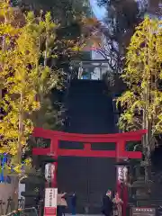 愛宕神社(東京都)