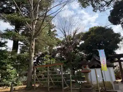 麻賀多神社(千葉県)
