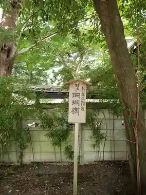 慈宏寺(東京都)