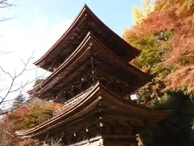 金剛院(京都府)
