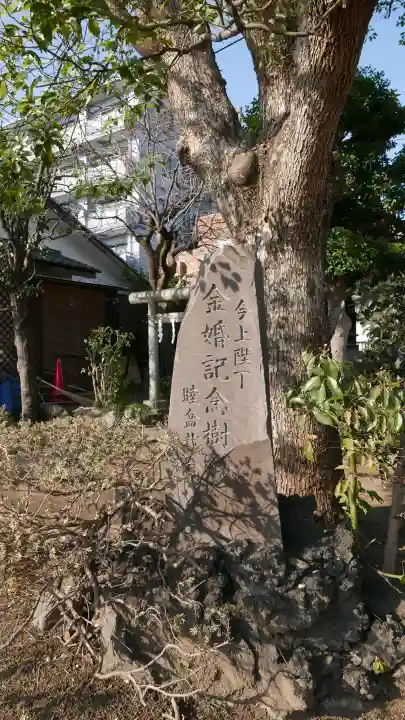 谷原氷川神社の{uncategorized: "未分類", other: "その他", undefined: "問題あり", building: "その他建物", grave: "お墓", sacred_gate: "鳥居", guardian: "狛犬", statue: "像", buddha: "仏像", history: "歴史", nature: "自然", garden: "庭園", animal: "動物", pagoda: "塔", temizu: "手水舎", mountain_gate: "山門・神門", sanctuary: "本殿・本堂", subordinate: "末社・摂社", art: "芸術", scenery: "景色", jizo: "地蔵", ema: "絵馬", goshuin: "御朱印", omikuji: "おみくじ", items: "授与品その他", amulet: "お守り", goshuincho: "御朱印帳", eats: "食事", festival: "お祭り", votive_dance: "神楽", shichigosan: "七五三参", wedding: "結婚式", experience: "体験その他", initially: "初詣", around: "周辺", anti_infection: "感染症対策"}