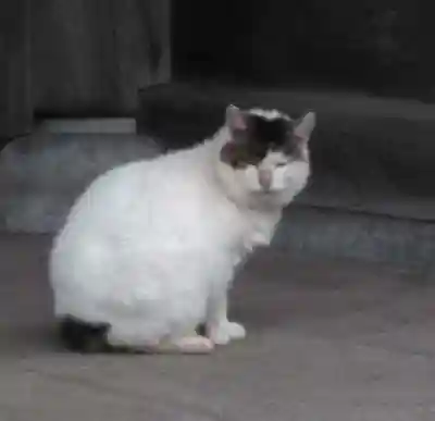 天池庵（久保山　円覚寺）(神奈川県)