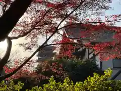 本土寺(千葉県)